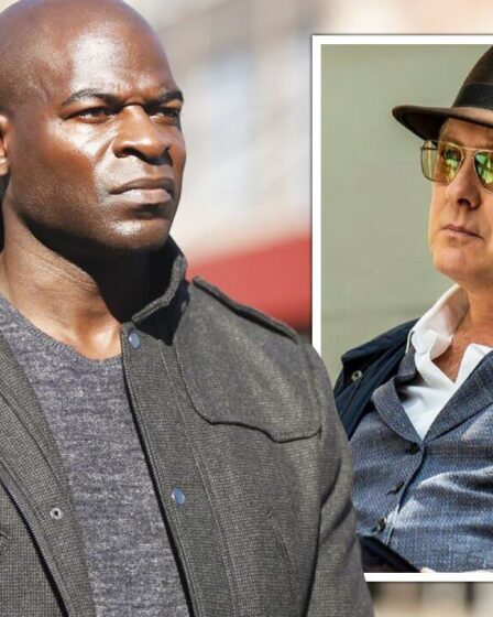 Les fans de Blacklist exigent le retour permanent de Dembe après la réunion de Red "Ça ne marchera pas!"