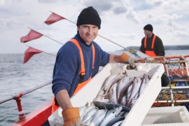 Les flottes de pêche étrangères prélèvent des nutriments dans les pays - les plus durement touchés