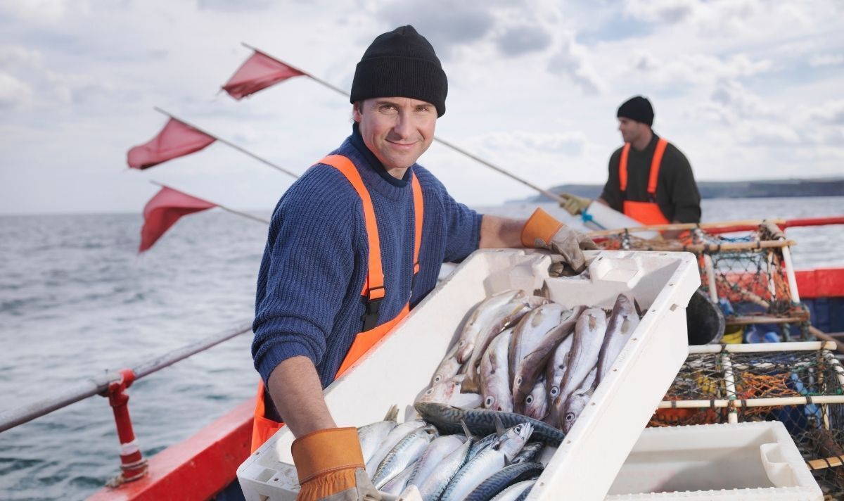 Les flottes de pêche étrangères prélèvent des nutriments dans les pays - les plus durement touchés