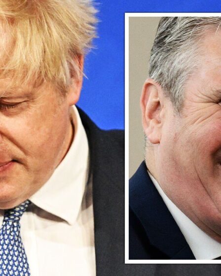 Menace de l'alliance Rejoindre: Boris a averti que le Brexit pourrait être INVERSÉ si le Premier ministre n'agit pas sur le complot