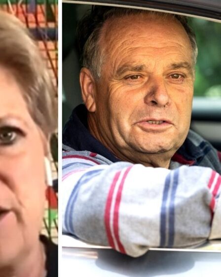 Moment étonnant Anna Soubry blâme les députés du Brexit pour les scandales des Communes