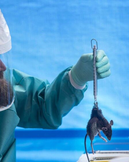 Monkeypox UK: Pourquoi l'épidémie de virus "préoccupe" les scientifiques - "certainement d'autres cas"