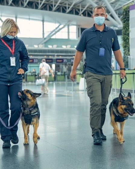 Percée de Covid : des chiens renifleurs entraînés repèrent avec précision les voyageurs infectés par le virus
