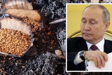 Poutine détruit les fournitures apocalyptiques en Ukraine, anéantissant le matériel génétique vital