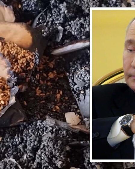 Poutine détruit les fournitures apocalyptiques en Ukraine, anéantissant le matériel génétique vital