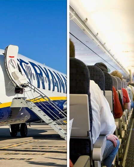 « Tout simplement impoli » : un passager de Ryanair refuse de déménager pour sa mère et son bébé - les avis divergent