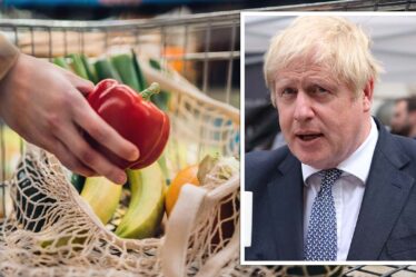 Trahison du Brexit ?  Un accord "à moitié cuit" blâmé pour la hausse des prix des denrées alimentaires - la "bureaucratie" sème le chaos