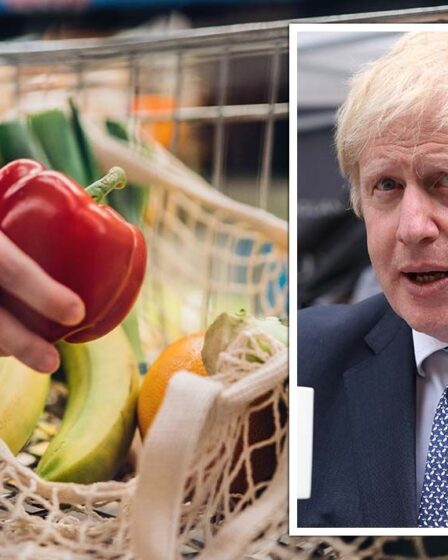 Trahison du Brexit ?  Un accord "à moitié cuit" blâmé pour la hausse des prix des denrées alimentaires - la "bureaucratie" sème le chaos