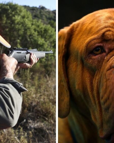 Un couple d'expatriés promet de quitter l'Espagne après que des chasseurs ont tué un chien et que la police "n'a rien fait"