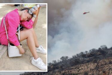 Avertissement aux touristes alors que des incendies de forêt éclatent à travers l'Espagne avec des températures allant jusqu'à 42 degrés