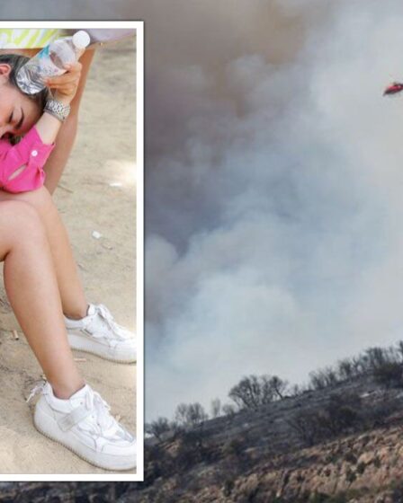 Avertissement aux touristes alors que des incendies de forêt éclatent à travers l'Espagne avec des températures allant jusqu'à 42 degrés
