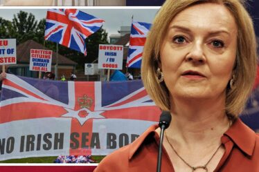 Brexit : les députés votent pour la législation nord-irlandaise de Liz Truss