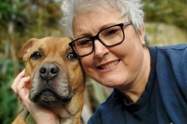 'Essayer de me prévenir tout le temps' Un chien de sauvetage héroïque 'alerte' son propriétaire d'un cancer du sein