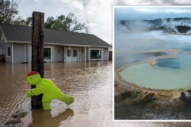 Horreur de Yellowstone alors que le parc SUBMERGÉ dans l'eau - des maisons emportées par une inondation record