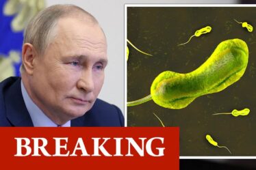 Horreur en Ukraine: la Russie menace d'une épidémie "majeure" d'une maladie mortelle "extrêmement virulente"