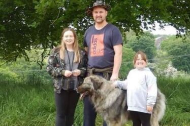 Le propriétaire d'un chien a reçu une facture vétérinaire de 5 000 £ après que les assureurs ont refusé de payer
