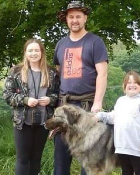 Le propriétaire d'un chien a reçu une facture vétérinaire de 5 000 £ après que les assureurs ont refusé de payer