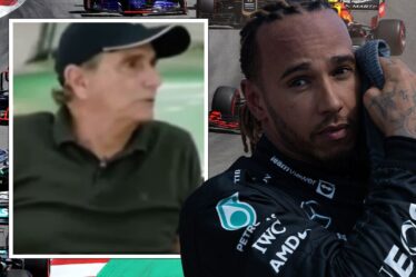 Lewis Hamilton LIVE: la FIA réagit aux insultes racistes de Nelson Piquet alors que les appels à l'interdiction augmentent