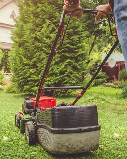 "Ma voisine exige que je laisse son fils tondre ma pelouse pour 12 £ par semaine"