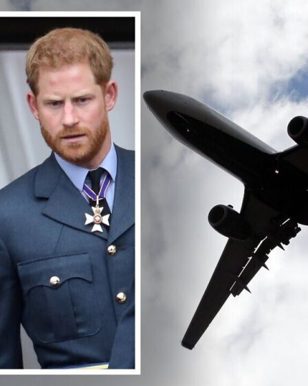 Meghan et Harry s'envolent de LAX - "des dizaines de protocoles" qu'ils doivent suivre au Royaume-Uni