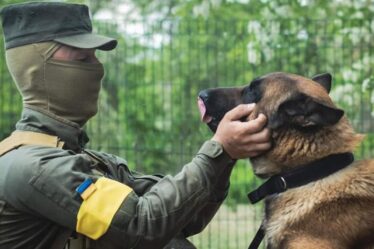 Un chien des forces spéciales russes trahit Poutine en rejoignant la garde ukrainienne dans la lutte contre le despote