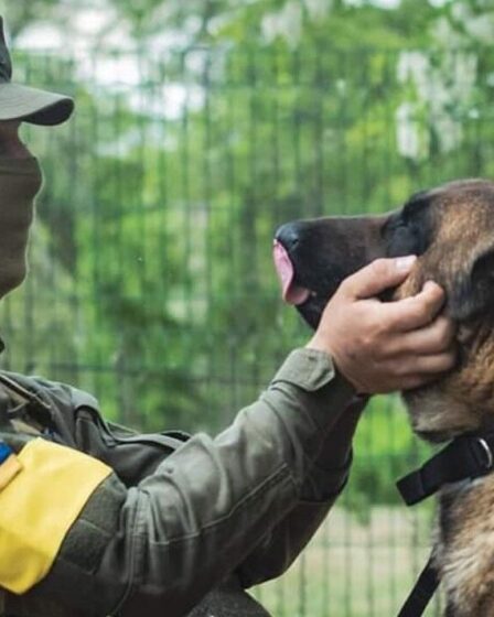 Un chien des forces spéciales russes trahit Poutine en rejoignant la garde ukrainienne dans la lutte contre le despote