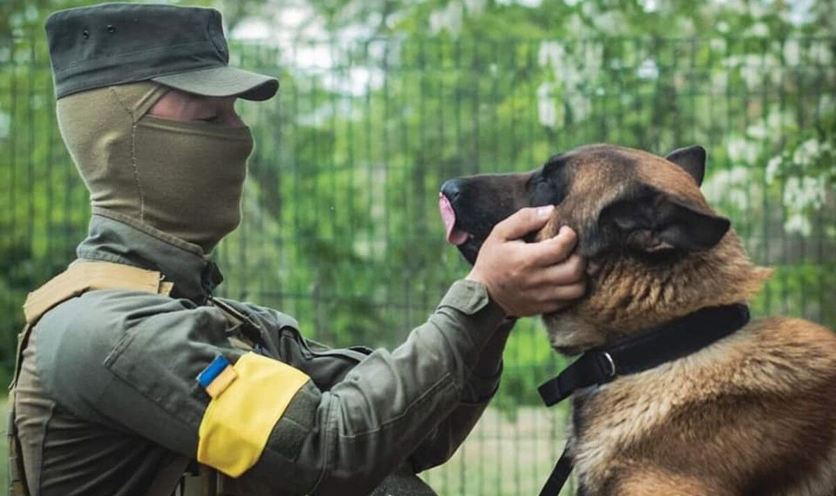 Un chien des forces spéciales russes trahit Poutine en rejoignant la garde ukrainienne dans la lutte contre le despote