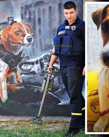 Un chien ukrainien héros "a sauvé tant de vies" immortalisé sur une peinture murale alors qu'il enfile une tenue traditionnelle