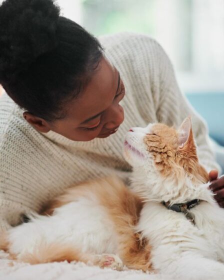 Vous voulez vous sentir plus proche de votre chat ?  Essayez de les considérer comme ayant des caractéristiques humaines