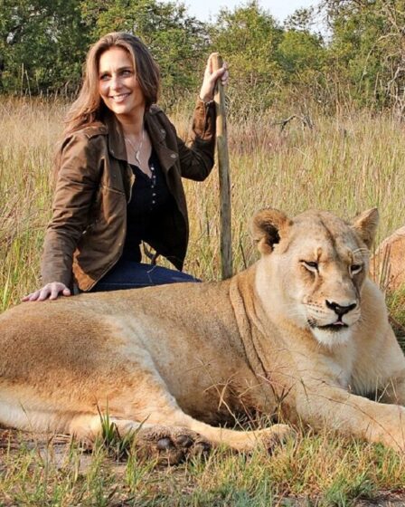Lion Spy : L'héroïne risque sa vie pour sauver la fierté des riches chasseurs