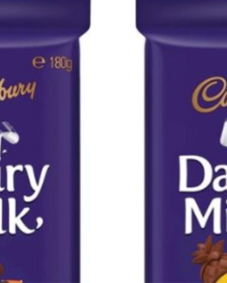 Cadbury lance une nouvelle barre de chocolat maladive au Royaume-Uni qui divise les fans