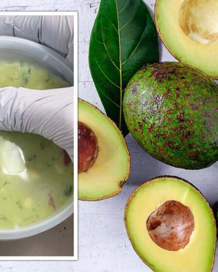 Comment garder le guacamole frais et vert pendant 7 jours - "personne ne le mentionne jamais"