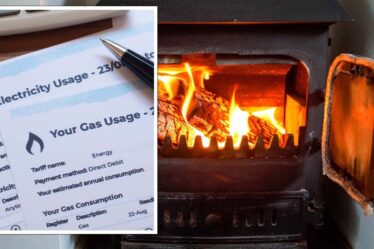 Crise énergétique: les brûleurs à bûches peuvent vous faire économiser 422 £ avec un chauffage «fiable et abordable» en hiver