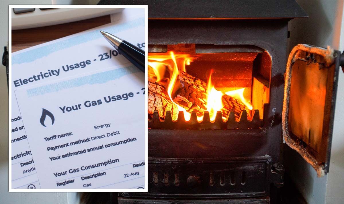 Crise énergétique: les brûleurs à bûches peuvent vous faire économiser 422 £ avec un chauffage «fiable et abordable» en hiver