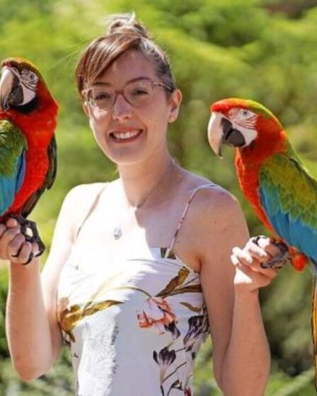 Le perroquet de compagnie attire des milliers de fans et devient une star des réseaux sociaux