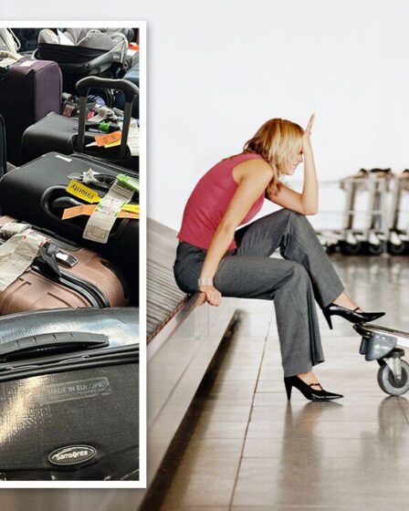 'Le temps n'est pas de votre côté' Que se passe-t-il si une compagnie aérienne perd mes bagages ?  Vos droits légaux