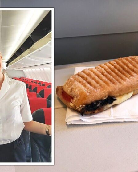 L'hôtesse de l'air partage ce que les gens «ne devraient jamais manger» dans l'avion «Évitez autant que vous le pouvez»