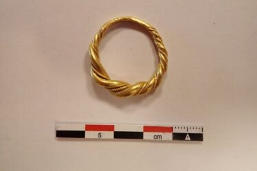 Une bague en or qui "appartenait au puissant Viking" trouvée de manière inattendue dans une réserve de "bijoux bon marché"