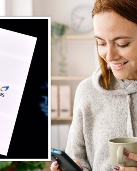 British Gas offre aux ménages jusqu'à 1 500 £ pour les aider à payer leurs factures d'énergie - êtes-vous éligible ?