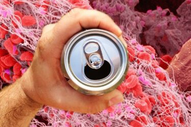 Caillots sanguins : la boisson populaire liée à un risque plus élevé de coagulation "dans les petites artères"