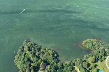 Catastrophe du Lake District: Horreur des eaux usées brutes se déversant dans Windermere