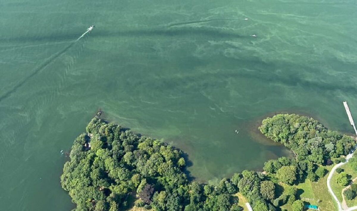 Catastrophe du Lake District: Horreur des eaux usées brutes se déversant dans Windermere