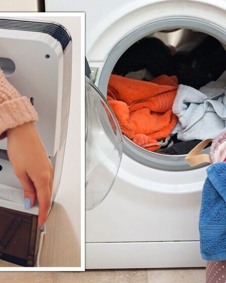« Coûte 7 pence par heure » : un moyen « plus rapide » et « moins cher » de sécher les vêtements sans sèche-linge