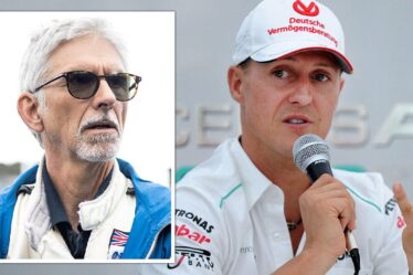 Damon Hill fait une fouille subtile à Michael Schumacher alors qu'il évalue son rival en titre