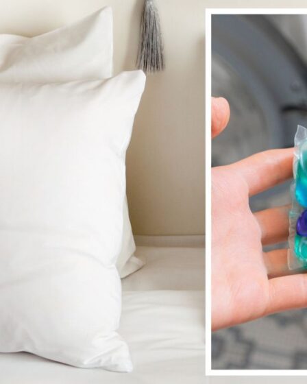 'Fait des merveilles' Comment laver les oreillers pour les garder 'moelleux et fermes' - 'un seul qui fonctionne'