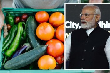 Fureur du Brexit: avertissement de «recette pour un désastre» aux agriculteurs concernant un accord commercial «précipité» entre l'Inde et le Royaume-Uni