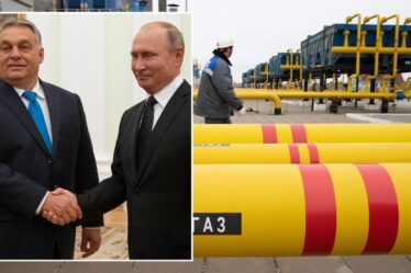 La relation étroite d'Orban avec Poutine récompensée alors que la Russie fournit des approvisionnements supplémentaires en gaz