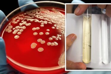 Les États-Unis en alerte face à une maladie tropicale rare - une bactérie mortelle détectée dans le sol et l'eau des États-Unis