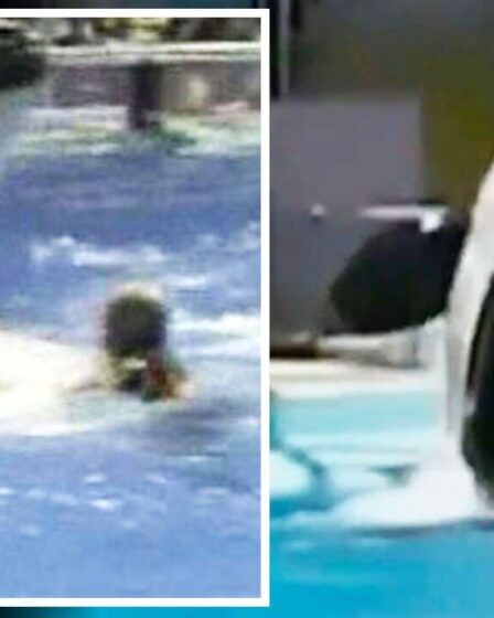 L'orque SeaWorld "fou de sexe" est si dangereux qu'il est enfermé loin des humains depuis 2004