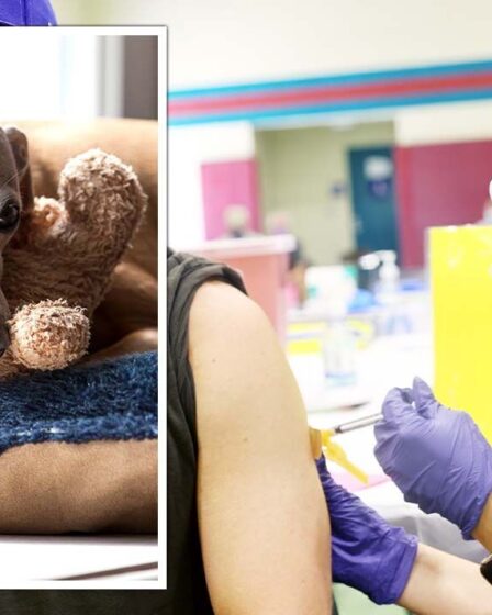 Monkeypox entre dans une nouvelle phase d'horreur alors que le virus passe aux DOGS avec l'OMS en alerte